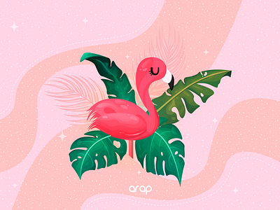 Mingo cute cute animals flamingo illustration illustrator tropical vector