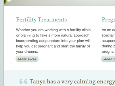 Acupuncturists website