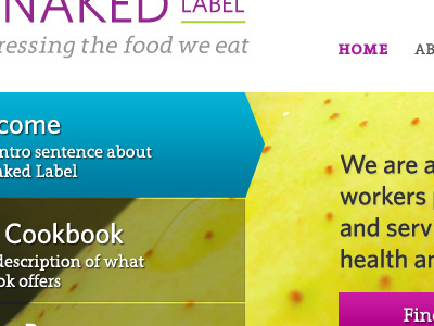 Nutritionist community bright color navigation website