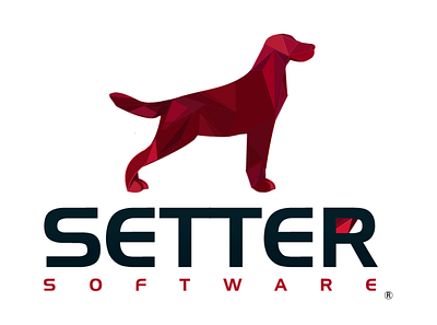 Setter Software design illustration logo vector