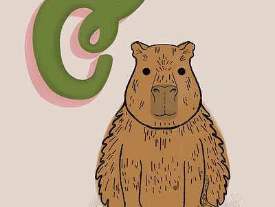 Capybara Cutie book digital illustration illustration illustration art kid lit art kidlitart kids book kids illustration procreate texture