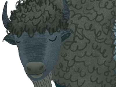 Bison book illustration design illustration procreate procreate app procreate illustration texture