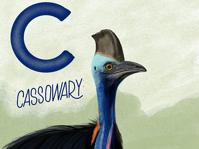 Cassowary Illustration