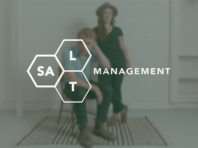 salt | management branding hexagons logo music salt