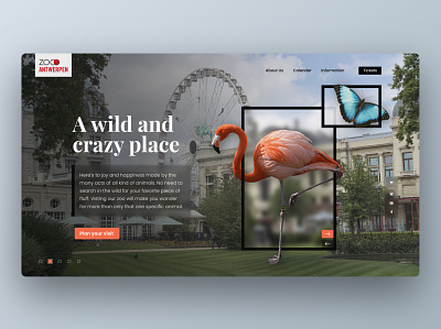 Zoo Antwerpen animals concept design designer desktop design development digital design typography ui ux web webdesign website zoo