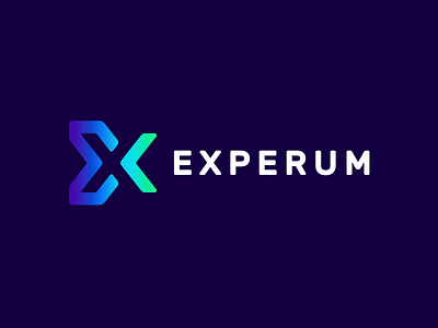 Experum business logo modern simple x