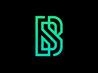 BS bs intricate letter b letter s line logo maze monogram