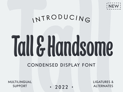 Tall&Handsome - condensed display font casual condensed display font narrow stylish tall type typeface