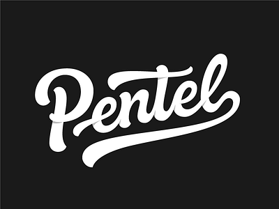 Pentel branding design hand lettering illustration lettering logo logotype script typography vector