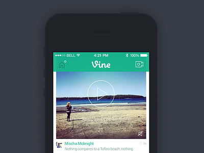 Vine iOS 7 7 app icons ios iphone minimal mobile redesign simple video vine