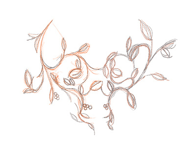 Skullvine