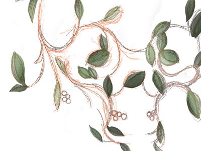 WIP: Skullvine (Leaves) book cover book design illustration publishing skull vines