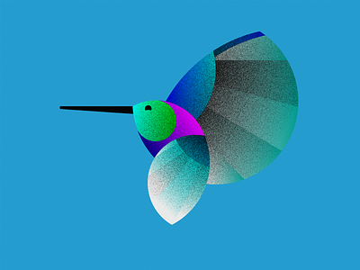 Delightful Hummingbird animals birds vector