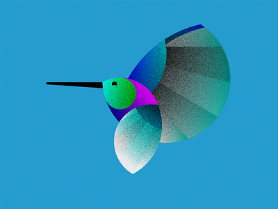 Delightful Hummingbird