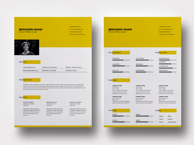 Resume Template Polaris