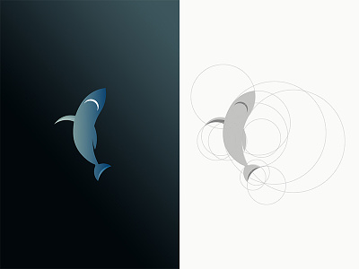 Shark Logo Icon
