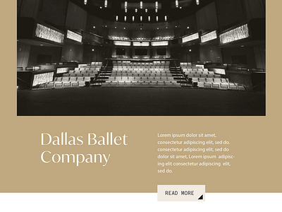 Texans For the Arts - Web Concept