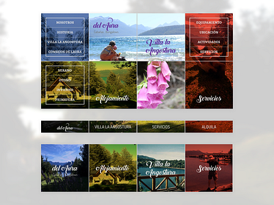 Dribble Shot dashboard design home landing menu patagonia renthouse ui ux web
