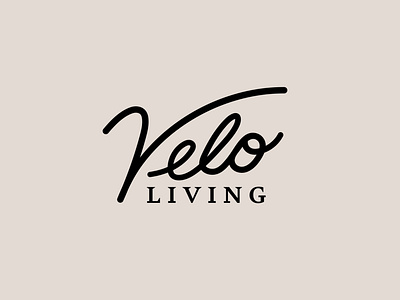 Velo bicycle custom type design identity logo logotype real estate type typography velo