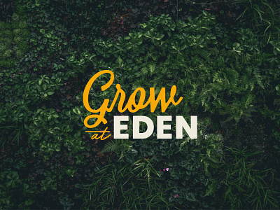 Grow at Eden branding childcare color design development environment growth icon identity illustration logo logotype nature type typography vector