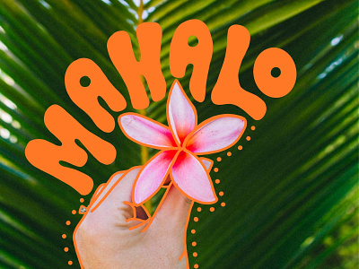 Mahalo Hawaii color design hand letteriing hawaii illustration ipad island lettering love procreate procreate app thank you type typography vector