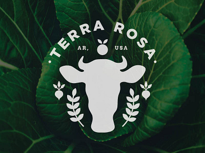 Terra Rosa beef branding cow logo mark organic packaging vegetables