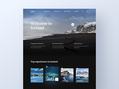 Iceland - Travel Website city country guide home homepage iceland landing nature promo slider tour travel travel agency ui ux video web design website