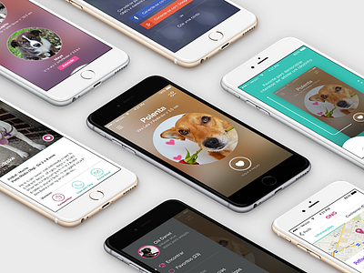 Dog Adoption • Mobile App app design ios mobile mockups user interface visual design