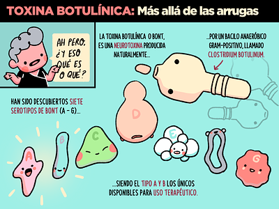Botulinum toxin. Infographic. dermatology design health illustration ilustracion infografia infographic medical science