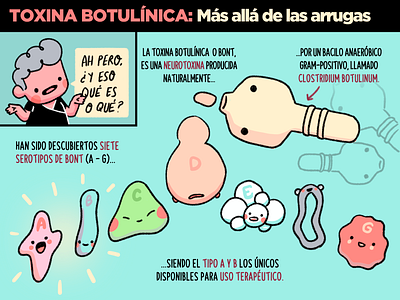 Botulinum toxin. Infographic.