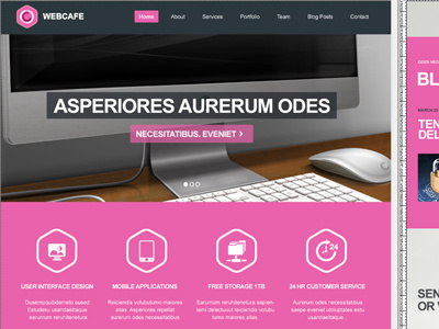 Dribbbleshots2