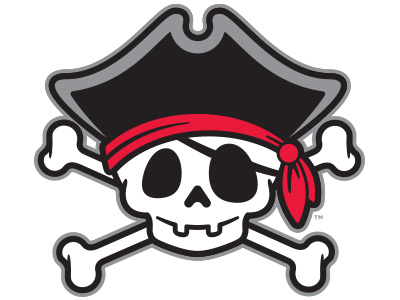 CM Pirate Skull bandana cm crossbones cute identity kids logo patch pirate skull tricorn