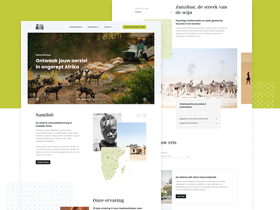 Africa Genius africa agency detail page pattern travel travel agency web