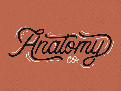 Anatomy logo lettering logo typography word mark