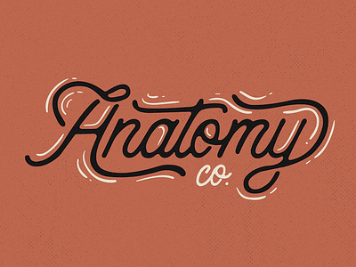 Anatomy logo