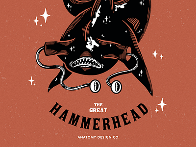 Hammerhead Shark Illustration digital art graphic design illustration illustrator