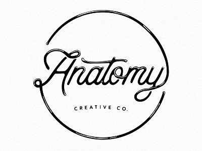 Anatomy Logo design brand branding design graphic lettering logo typography word mark