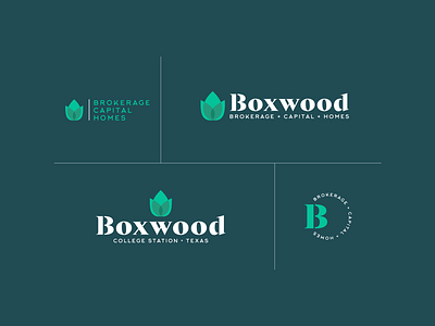 Boxwood Branding boxwood brand design brand strategy branding design letter b logo logo concept logo design logo treatment visual design visual identity