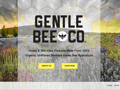 Gentle Bee Home Screen design logo ui ux