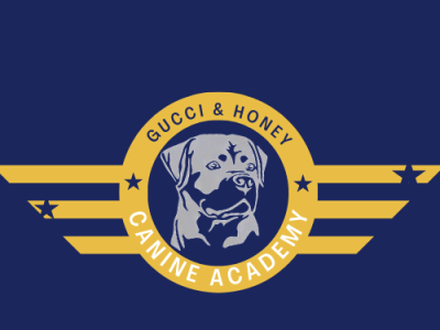 Custom Business Logo branding business logo custom custom design custom logo design dog training logo graphic design logo marketing website graphic