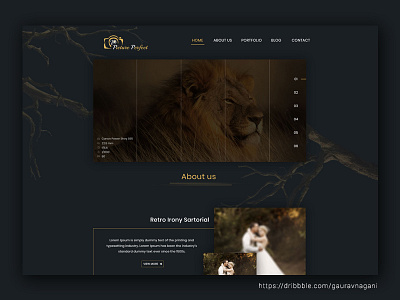 Photography Theme Black Version