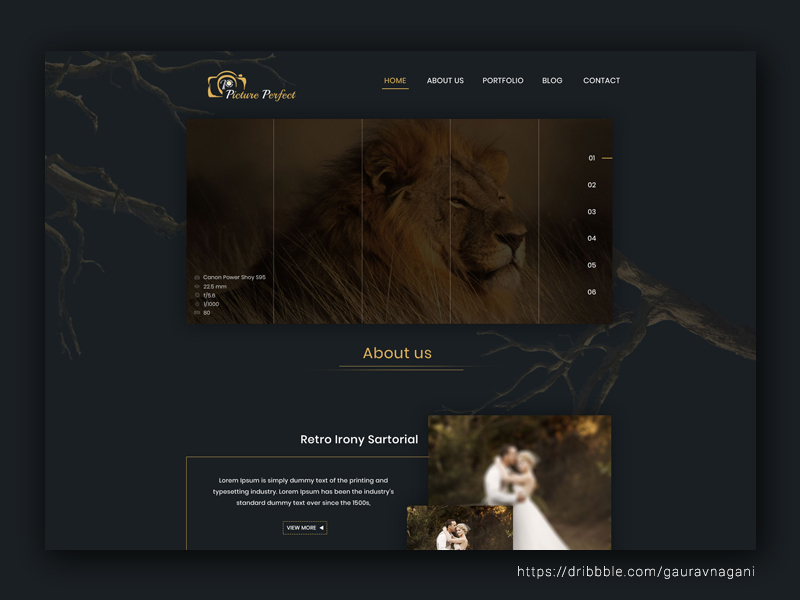 Photography Theme Black Version by gaurav nagani on Dribbble