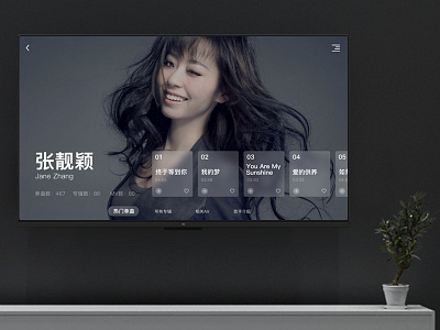 TV music player - Singer details