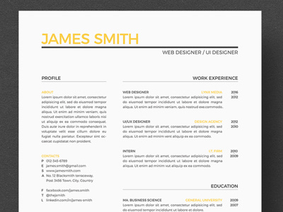 Resume Design curriculum vitae cv resume