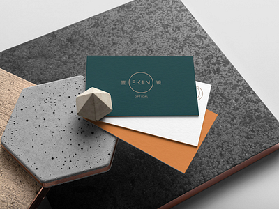 Ekin Optical brand design dribbble ps