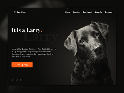 Daily UI #003 - Landing Page for Dog Shelter 003 dailui dog landing pet web webdesign