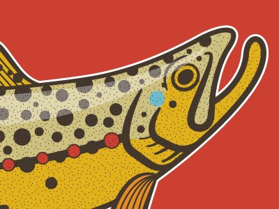 Fish for a thing design fishing fly illustration trout