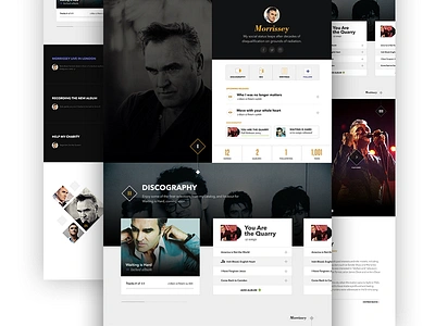 Morrissey Profile avenir bodoni music player profile ui ux