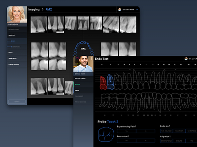 Clinician Endo Probing And Imaging Examination