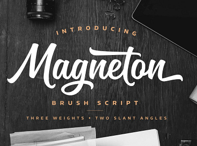 Magneton Complete #1 app branding design graphic design illustration logo typography ui ux vector